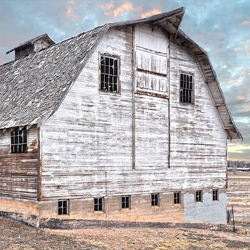 Historic Johnson Farm barn at Bucking Horse